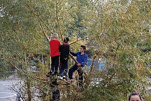 Wildzone_Lernräume_außen Kinder spielen im Gestrüpp